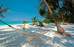 Titre voyages sur mesure