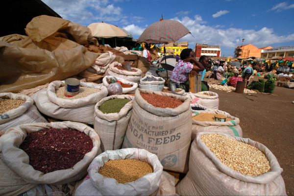 Rencontres kenya
