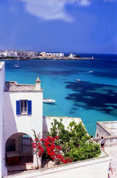 L'image �http://www.comptoir.fr/imgProduits/PTITAPOUIL-P01.jpg� ne peut �tre affich�e car elle contient des erreurs.