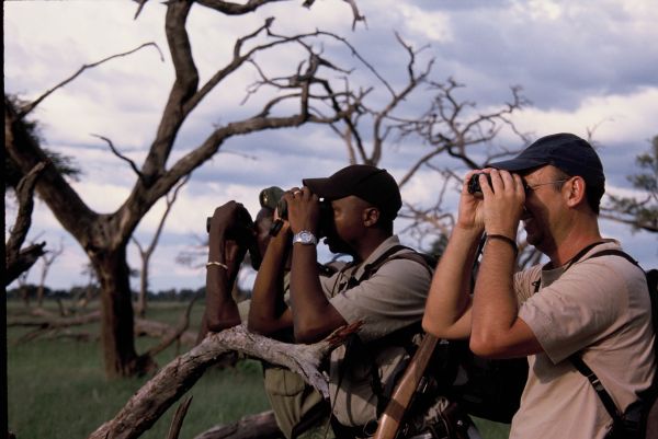 Photo : Chutes Victoria, Chobe, Savuti, Moremi, Okavango : Carnets de brousse pour un safari au Botswana