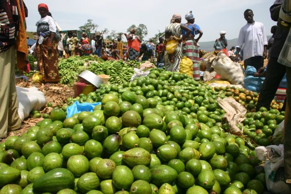 Photo : Guinée : Escapade en famille