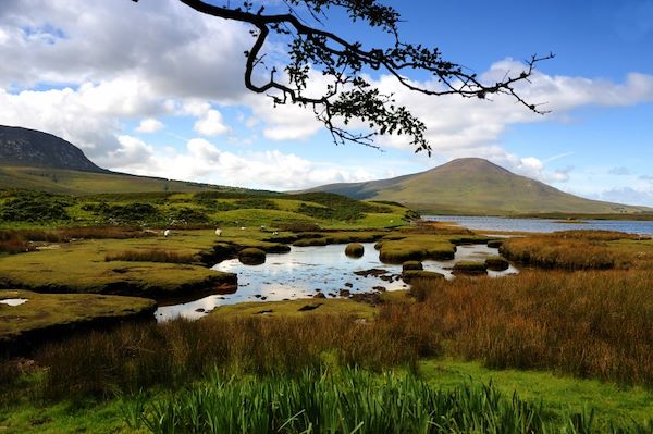 Photo : Irlande : Mosaïque irlandaise