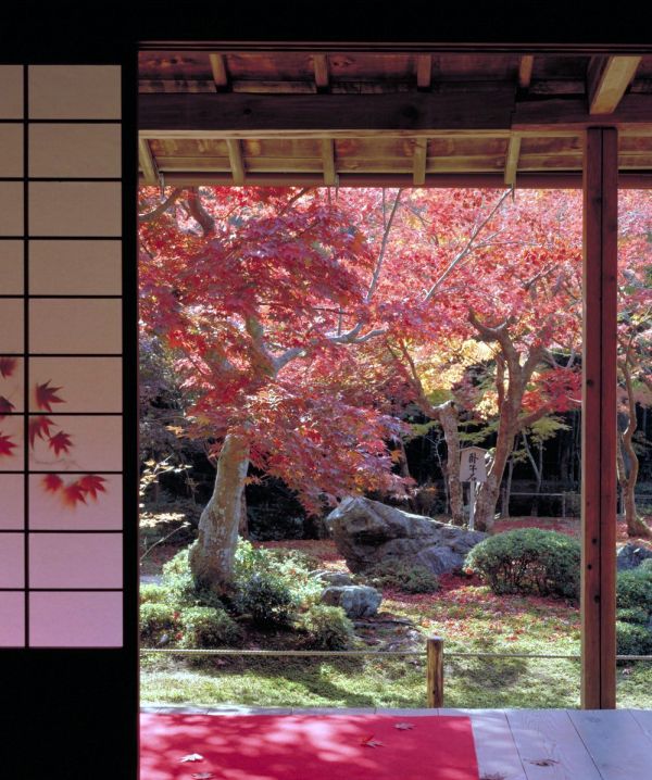 Photo : Japon : Lune de Miel dans un Japon romantique