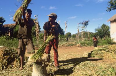 Photo : Madagascar : Balades et rencontres en terres malgaches