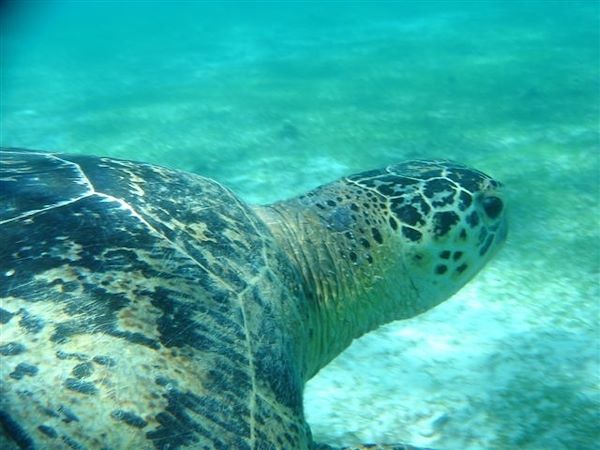 Photo : Mayotte : A l'abordage de l'île aux trésors