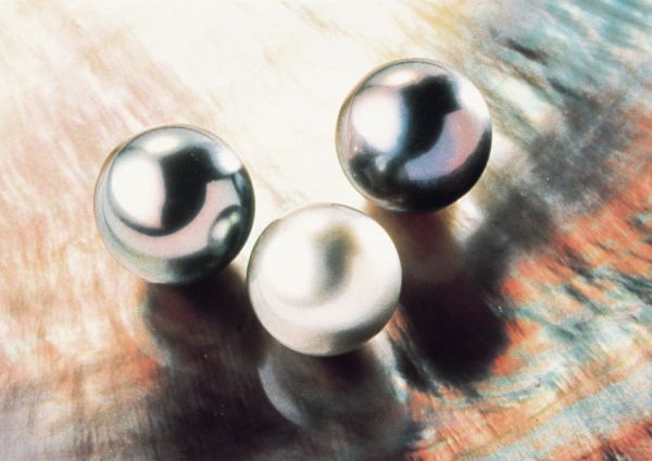Photo : Polynésie, archipel de la Société : Trio de charme polynésien