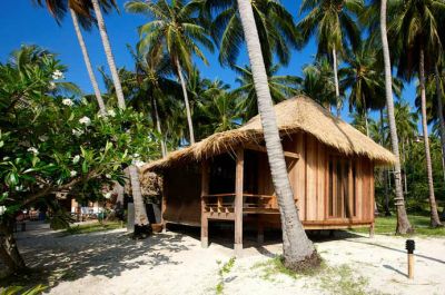 Photo : Koh Tao : Koh Tao, au bonheur des plongeurs