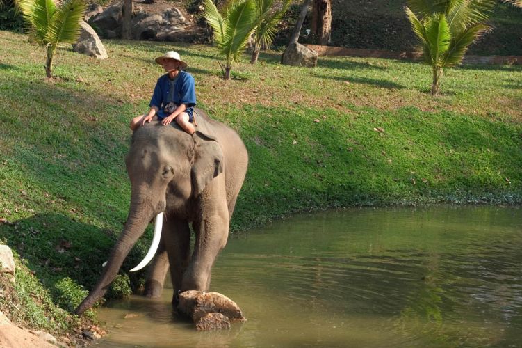 Photo : Thaïlande : Thaïlande express