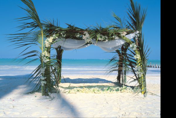 Photo : Tanzanie, Zanzibar : Lune de miel en Tanzanie