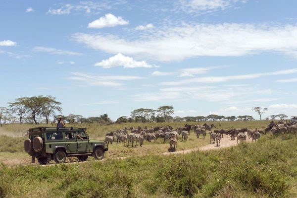 Photo : Tarangire, Ngorongoro, Manyara, Zanzibar : Bivouac dans la savane et lagons de Zanzibar