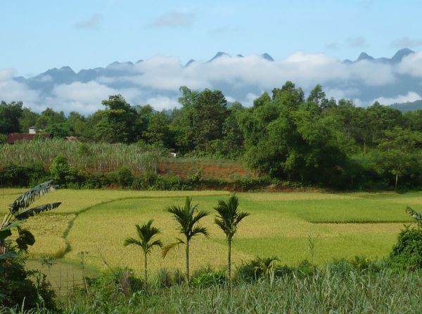 Photo : Vietnam - Cambodge : Souvenirs d'Indochine