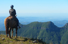 Photo : Florianopolis, Santa Catarina : Le Sud du Brésil en liberté