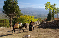 Photo : Grèce continentale : Merveilles du Péloponnèse