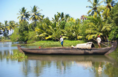 Photo : Tamil Nadu - Kerala : Une escapade au sud de l'Inde