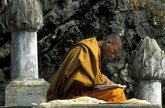 Photo : Cambodge, Siem Reap : Coup de Coeur à Angkor