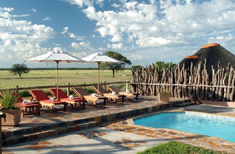 Photo : Namibie : Namibie : safaris et dunes @ tout prix