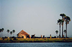 Photo : Niger : Au fil de l'eau