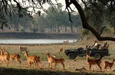 Photo : Tanzanie : Selous, safaris d'exception au Sud de la Tanzanie
