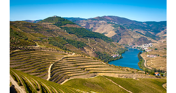 La vallée du Douro et ses vignes