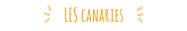 LES CANARIES
