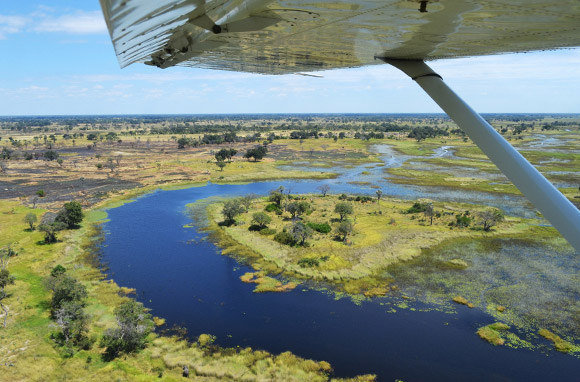 Delta de l'Okavango – Botswana