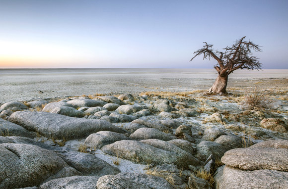 Kubu Island, parc national des Pans de Makgadikgadi – Botswana