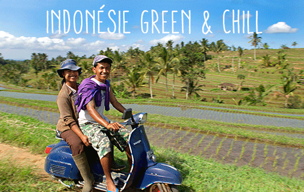 Indonésie Green & Chill