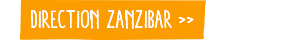 Direction Zanzibar ▸
