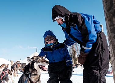 Rencontre avec les chiens de traineaux, autour de Rovaniemi 
